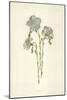 Common Flax-Frederick Edward Hulme-Mounted Giclee Print