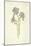 Common Flax-Frederick Edward Hulme-Mounted Giclee Print