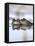 Common Frogs Spawning-Duncan Shaw-Framed Premier Image Canvas