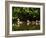 Common Goldeneye on Big Therriault Lake, Kootenai National Forest, Montana, Usa-Chuck Haney-Framed Photographic Print