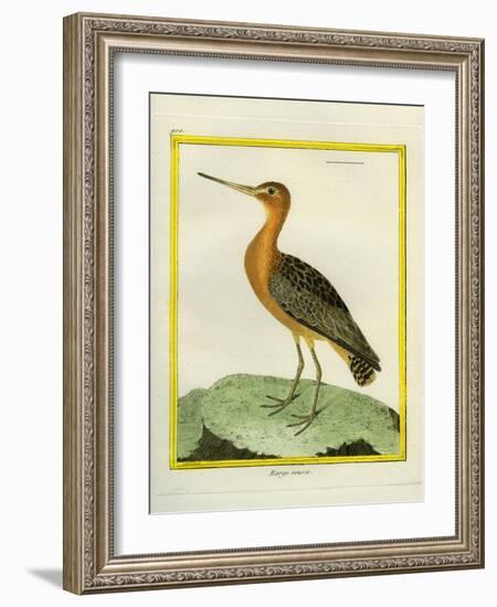 Common Greenshank-Georges-Louis Buffon-Framed Giclee Print