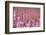 Common heather in flower, Dorset, UK-Ross Hoddinott / 2020VISION-Framed Photographic Print