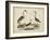 Common Heron and Crested Purple Heron-Friedrich Strack-Framed Art Print