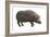 Common Hippopotamus (Hippopotamus Amphibius), Mammals-Encyclopaedia Britannica-Framed Art Print