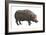 Common Hippopotamus (Hippopotamus Amphibius), Mammals-Encyclopaedia Britannica-Framed Art Print