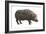 Common Hippopotamus (Hippopotamus Amphibius), Mammals-Encyclopaedia Britannica-Framed Art Print