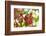 common horsetail or red currant (Ribes rubrum), Germany, Europe-David & Micha Sheldon-Framed Photographic Print