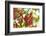 common horsetail or red currant (Ribes rubrum), Germany, Europe-David & Micha Sheldon-Framed Photographic Print