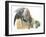 Common House Martin Delichon Urbicum Feeding Young in Nest-null-Framed Giclee Print