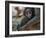 Common Langur (Semnopithecus Entellus), Bandhavgarh National Park, Madhya Pradesh, India, Asia-Sergio Pitamitz-Framed Photographic Print