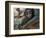 Common Langur (Semnopithecus Entellus), Bandhavgarh National Park, Madhya Pradesh, India, Asia-Sergio Pitamitz-Framed Photographic Print