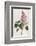 Common Lilac-William Curtis-Framed Photographic Print