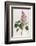 Common Lilac-William Curtis-Framed Photographic Print