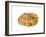 Common Limpet Shell, Normandy, France-Philippe Clement-Framed Photographic Print