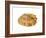 Common Limpet Shell, Normandy, France-Philippe Clement-Framed Photographic Print