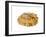 Common Limpet Shell, Normandy, France-Philippe Clement-Framed Photographic Print