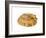 Common Limpet Shell, Normandy, France-Philippe Clement-Framed Photographic Print