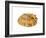 Common Limpet Shell, Normandy, France-Philippe Clement-Framed Photographic Print