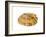 Common Limpet Shell, Normandy, France-Philippe Clement-Framed Photographic Print