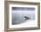 Common Loon-Lynn M^ Stone-Framed Photographic Print