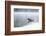 Common Loon-Lynn M^ Stone-Framed Photographic Print