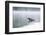 Common Loon-Lynn M^ Stone-Framed Photographic Print