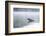 Common Loon-Lynn M^ Stone-Framed Photographic Print