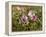 Common Mallow, Malva Silvestris, Blooms-Thonig-Framed Premier Image Canvas