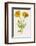 Common Marigold-null-Framed Photographic Print