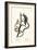 Common Marmoset, 1824-Karl Joseph Brodtmann-Framed Giclee Print