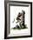 Common Mouse Opossum-null-Framed Giclee Print