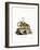 Common Mouse Opossum-null-Framed Giclee Print