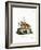 Common Mouse Opossum-null-Framed Giclee Print