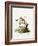 Common Mouse Opossum-null-Framed Giclee Print