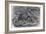 Common Octopus, 19th Century-Middle Temple Library-Framed Photographic Print