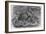Common Octopus, 19th Century-Middle Temple Library-Framed Photographic Print