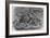 Common Octopus, 19th Century-Middle Temple Library-Framed Photographic Print