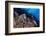 Common octopus moving over rocks, Italy, Tyrrhenian Sea-Franco Banfi-Framed Photographic Print