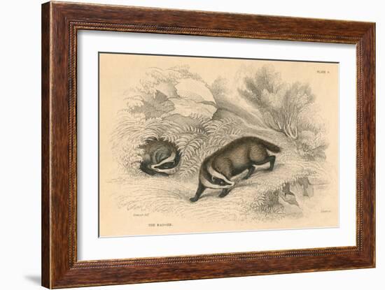 Common or Eurasian Badger (Meles Mele), 1828-null-Framed Giclee Print