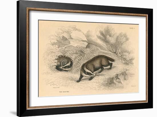 Common or Eurasian Badger (Meles Mele), 1828-null-Framed Giclee Print