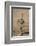 Common Ostrich (Struthio Camelus) Chick-James Hager-Framed Photographic Print