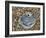 Common Oyster Shell on Beach, Normandy, France-Philippe Clement-Framed Photographic Print