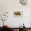 Common Palm Civet-Sir William Jardine-Framed Art Print displayed on a wall