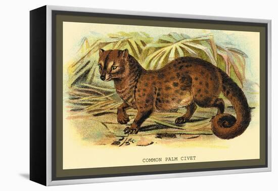 Common Palm Civet-Sir William Jardine-Framed Stretched Canvas