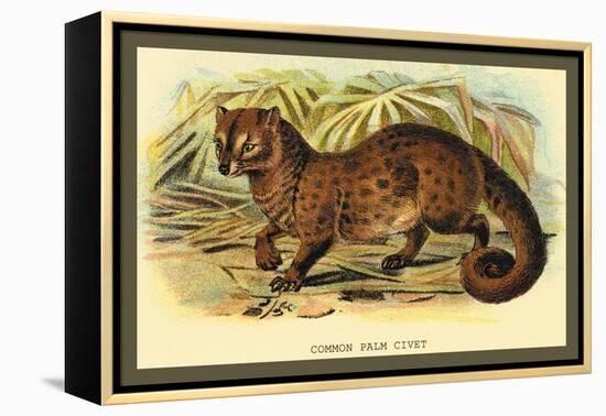 Common Palm Civet-Sir William Jardine-Framed Stretched Canvas