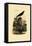 Common Pipistrelle, 1833-39-null-Framed Premier Image Canvas