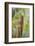 Common Potoo camouflaged, Mindo cloud forest, Ecuador-David Pattyn-Framed Photographic Print