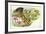 Common Quail Coturnix Coturnix with Chicks-null-Framed Giclee Print