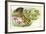 Common Quail Coturnix Coturnix with Chicks-null-Framed Giclee Print