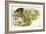 Common Quail Coturnix Coturnix with Chicks-null-Framed Giclee Print